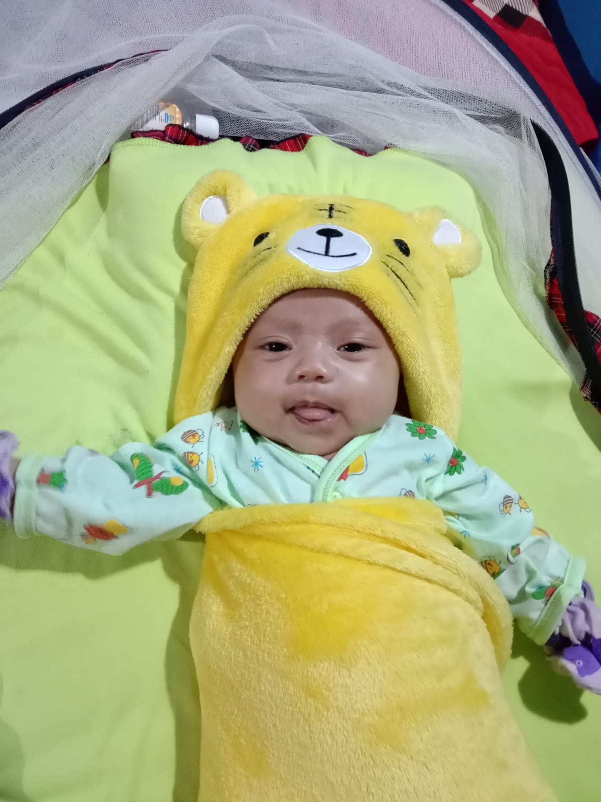 1000 HPK: Kunjungan Keempat "April Imunisasi!"